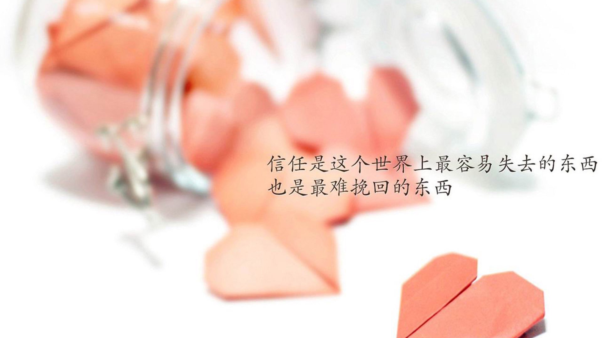 _山地自行车极限赛：穿越丛林，极速狂飙_，山地自行车越野赛