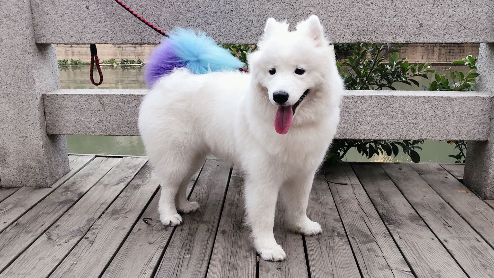 《电竞职业选手的成长秘籍：从菜鸟到大神的蜕变》，电竞职业选手生活日常