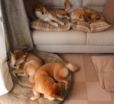 开云体育下载官网-中国篮球联赛观众人数持续上涨，体现全民体育热情，中国全国篮球