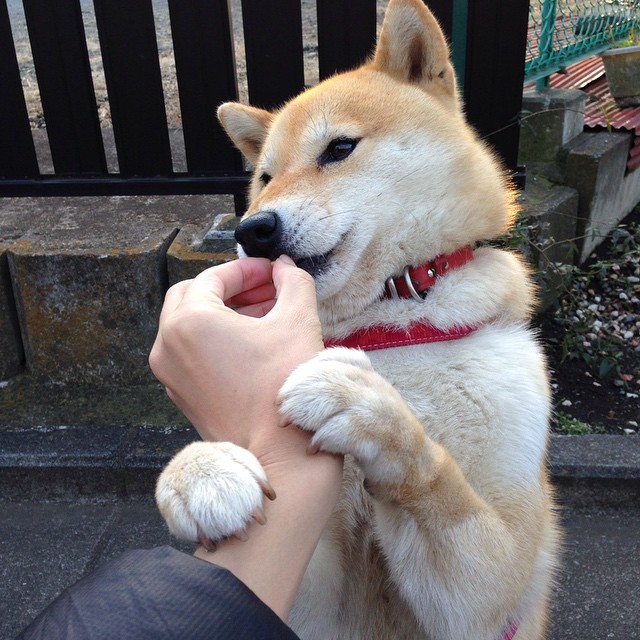 开云体育官方入口-季后赛里，蒂伊场均贡献“30+”得分，被评为“攻防两端核心”！