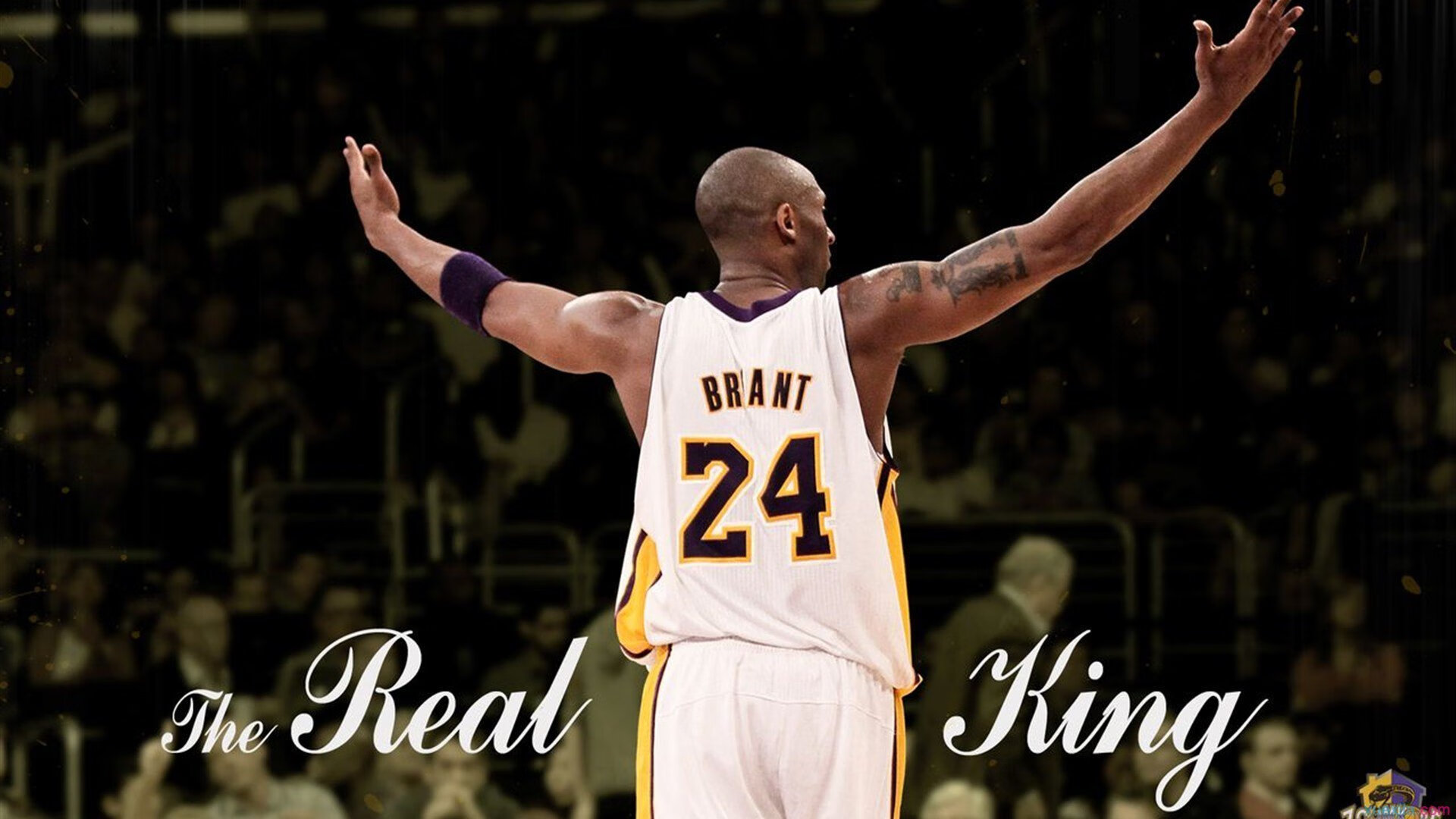 开云注册-凯尔特人主场训练中全队合影温馨，凯尔特人队 足球